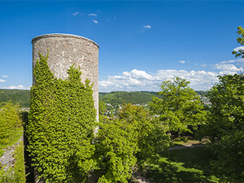 Nagold – Burgruine Hohennagold runder Turm mit Grün bewachsen